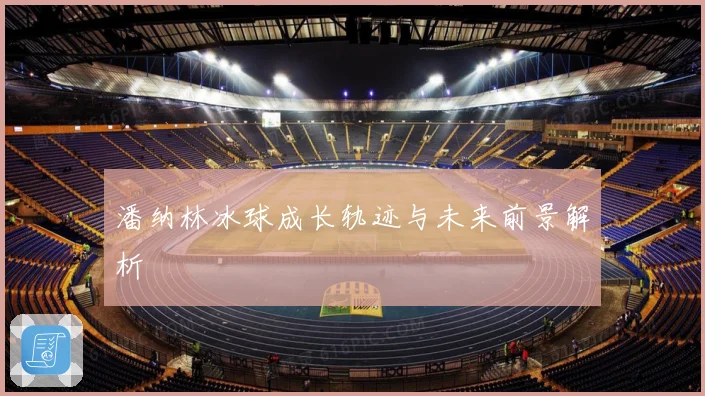潘纳林冰球成长轨迹与未来前景解析