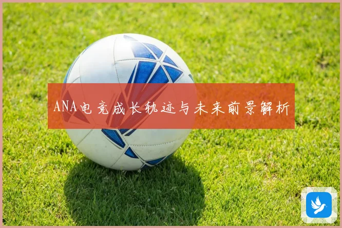 ANA电竞成长轨迹与未来前景解析