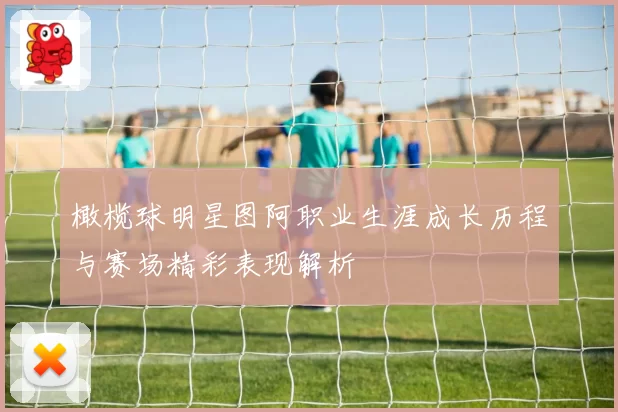 橄榄球明星图阿职业生涯成长历程与赛场精彩表现解析