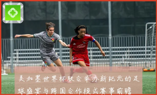 美加墨世界杯联合举办新纪元的足球盛宴与跨国合作模式赛事前瞻