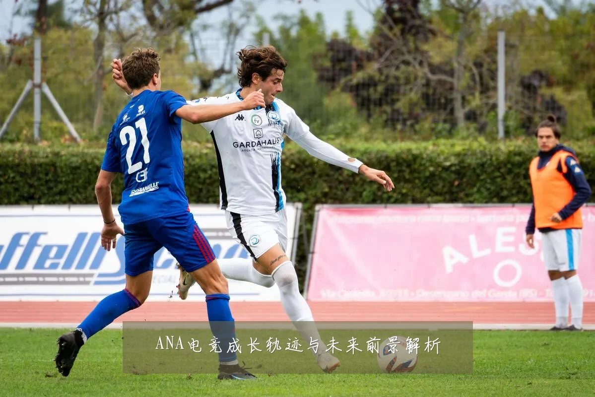 ANA电竞成长轨迹与未来前景解析