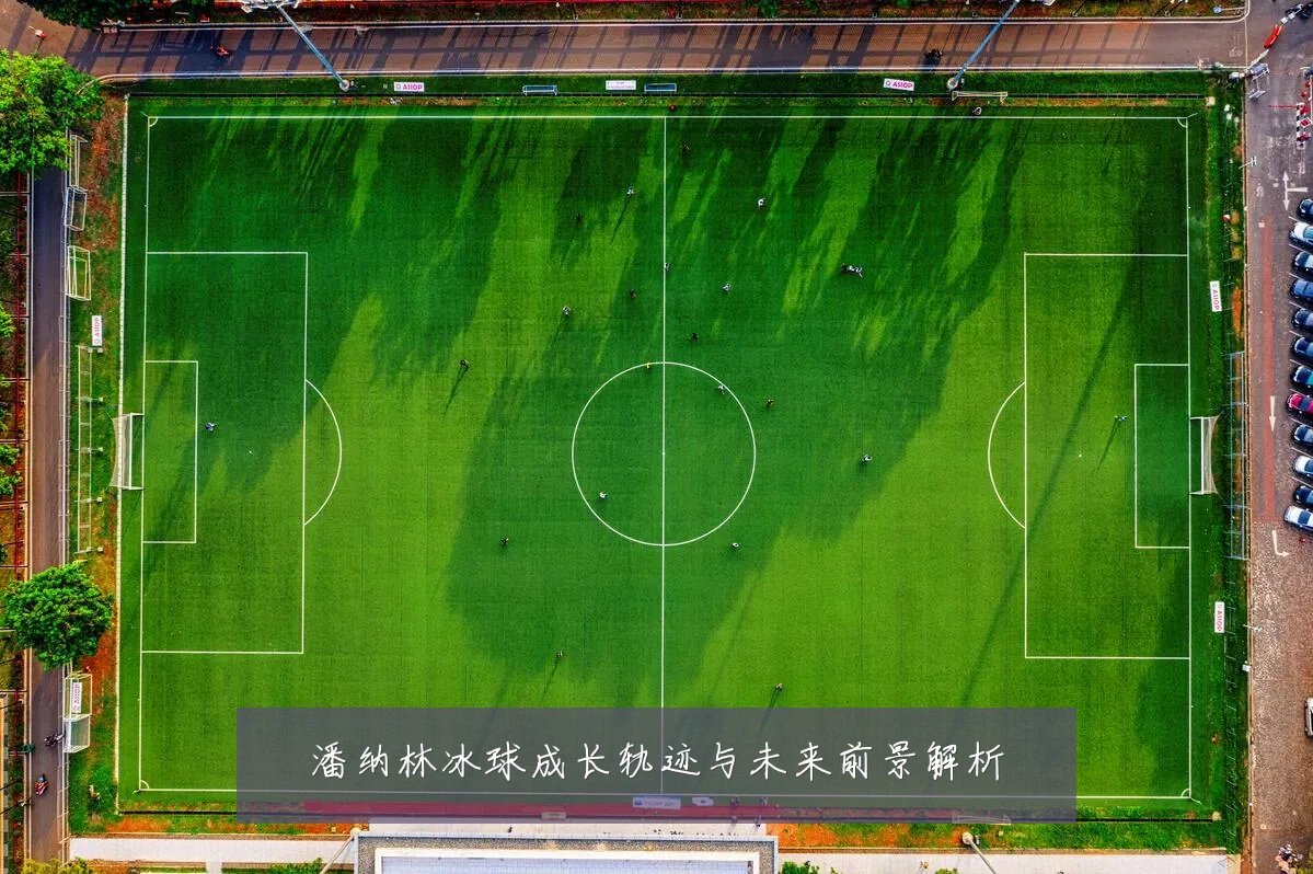 潘纳林冰球成长轨迹与未来前景解析
