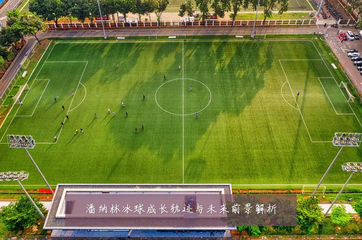 潘纳林冰球成长轨迹与未来前景解析