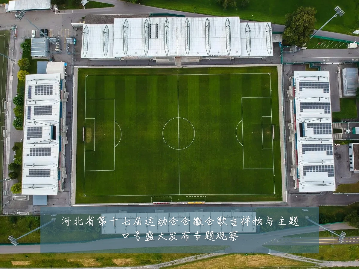 河北省第十七届运动会会徽会歌吉祥物与主题口号盛大发布专题观察